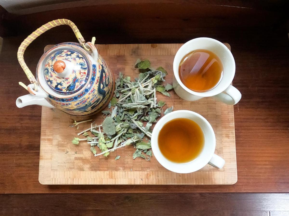 Amalthia Traditional Guesthouse ツァガラダ エクステリア 写真