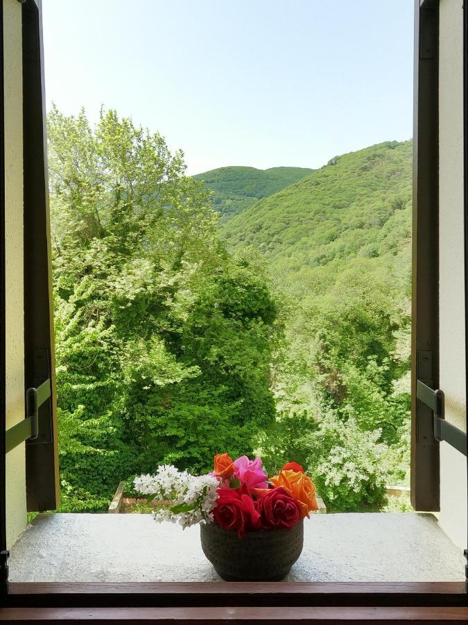 Amalthia Traditional Guesthouse ツァガラダ エクステリア 写真