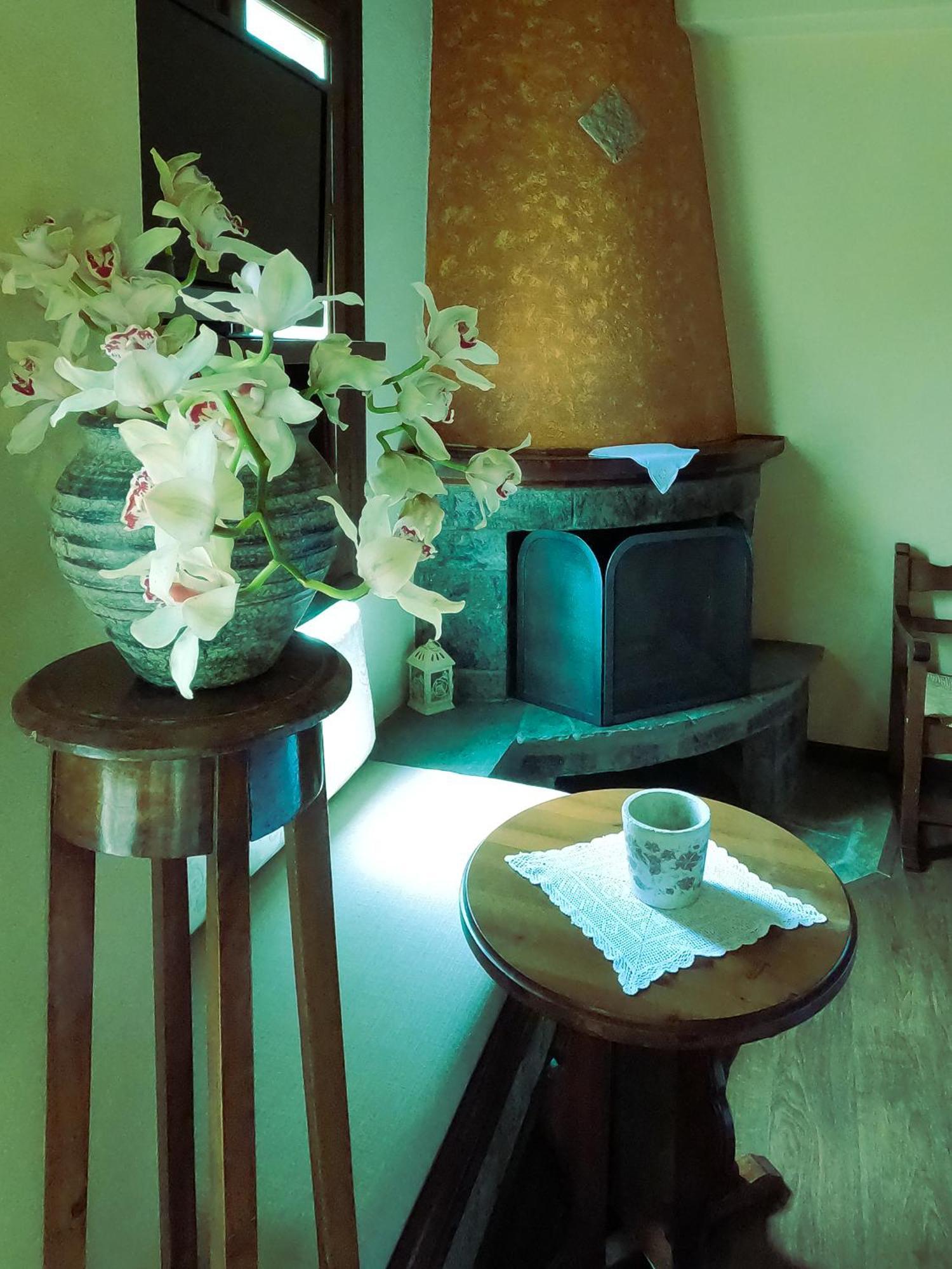 Amalthia Traditional Guesthouse ツァガラダ 部屋 写真